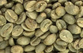 ARABIGO LAVADO EUROEPEA 12kg