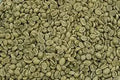 ARABIGO NATURAL EUROPEA 12KG