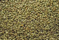 ROBUSTA NATURAL AMERICANA 12KG