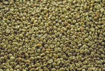 ROBUSTA NATURAL AMERICANA 30KG