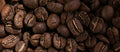 ROBUSTA AMERICANA 12KG