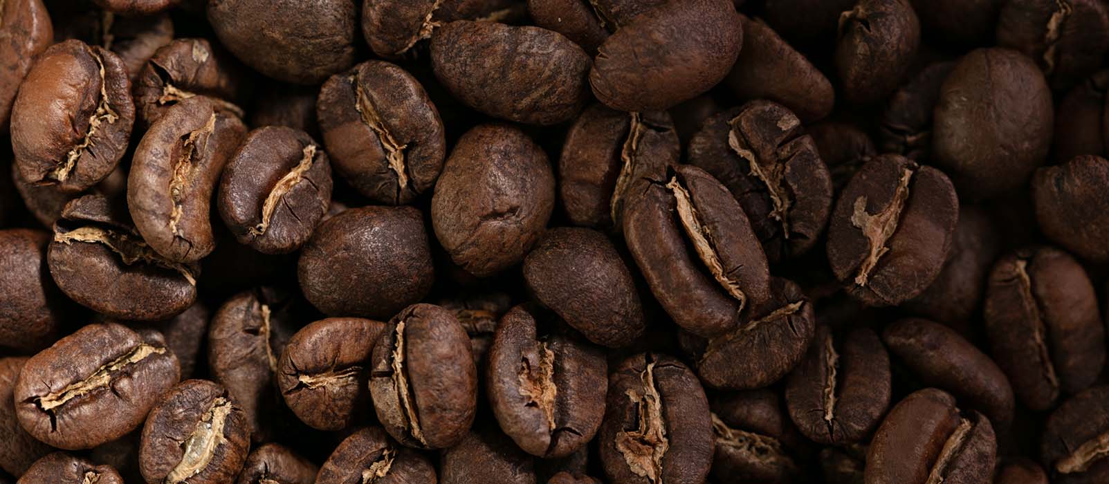ROBUSTA AMERICANA 30KG