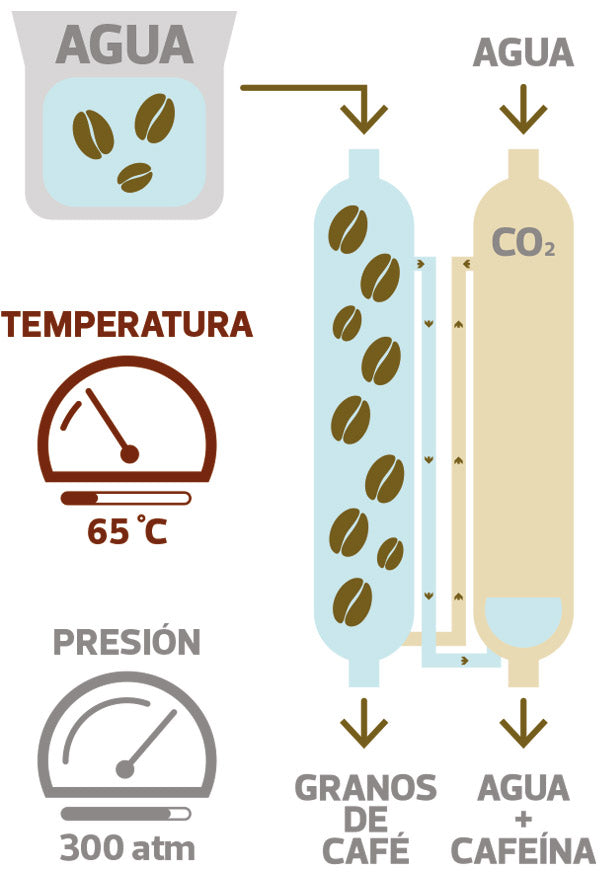 DESCAFEINADO EN VERDE PREMIUM (PROCESO BAÑO SUIZO)